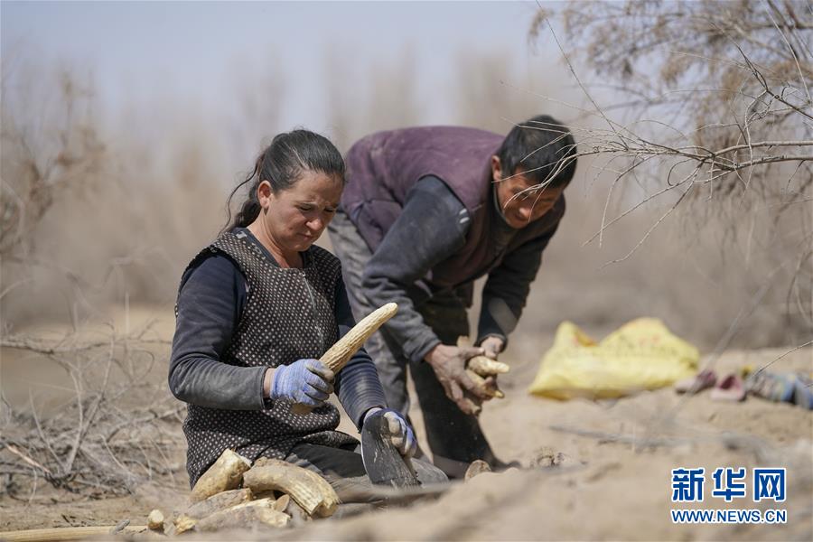 （新華全媒頭條&middot;圖文互動(dòng)）（6）一步千年，&ldquo;最后的沙漠部落&rdquo;遷入新家園