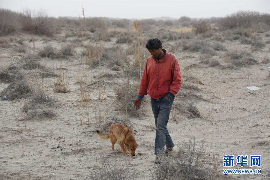 (圖文互動)(3)海子里的牧羊人見證中國最長內(nèi)陸河生態(tài)變遷