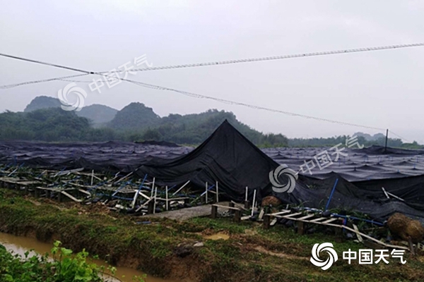 周末雨不休！南北方同迎大范圍降水