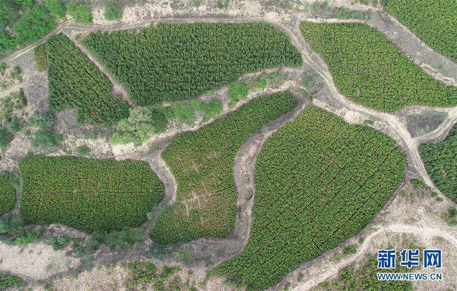 （新華全媒頭條&middot;北京世園會(huì)&middot;圖文互動(dòng)）（8）共繪人類生態(tài)文明美麗畫卷&mdash;&mdash;從北京世園會(huì)看中國(guó)綠色發(fā)展的&ldquo;世界貢獻(xiàn)&rdquo;