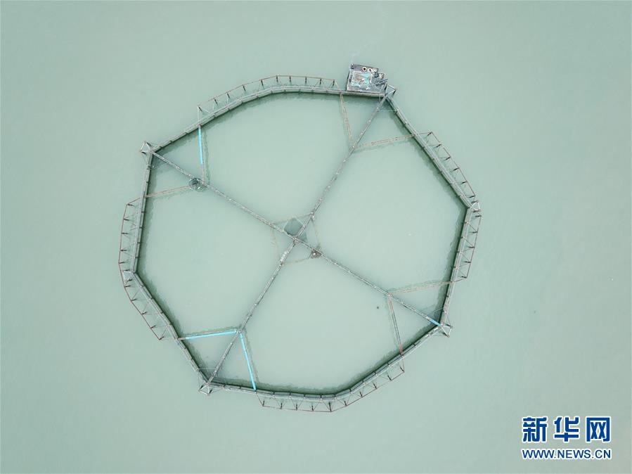 （壯麗70年&middot;奮斗新時代&middot;圖文互動）（5）&ldquo;東海明珠&rdquo;挺立一座&ldquo;精神燈塔&rdquo;&mdash;&mdash;追尋浙江臺州大陳島墾荒精神