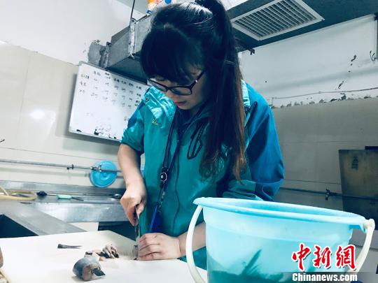 于雅麗在餌料操作間，準備著動物們的食物。　艾慶龍 攝