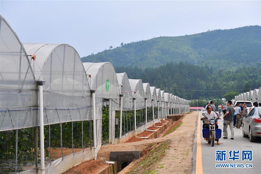 （新華全媒頭條&middot;圖文互動）（6）奮力走好新時(shí)代的長征路&mdash;&mdash;習(xí)近平總書記考察江西回訪記