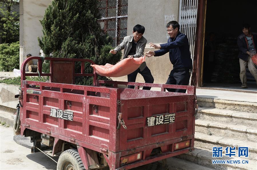 （在習近平新時代中國特色社會主義思想指引下&mdash;&mdash;新時代新作為新篇章&middot;圖文互動）（2）云南省陸良縣：農(nóng)民給供銷社打&ldquo;白條&rdquo; 