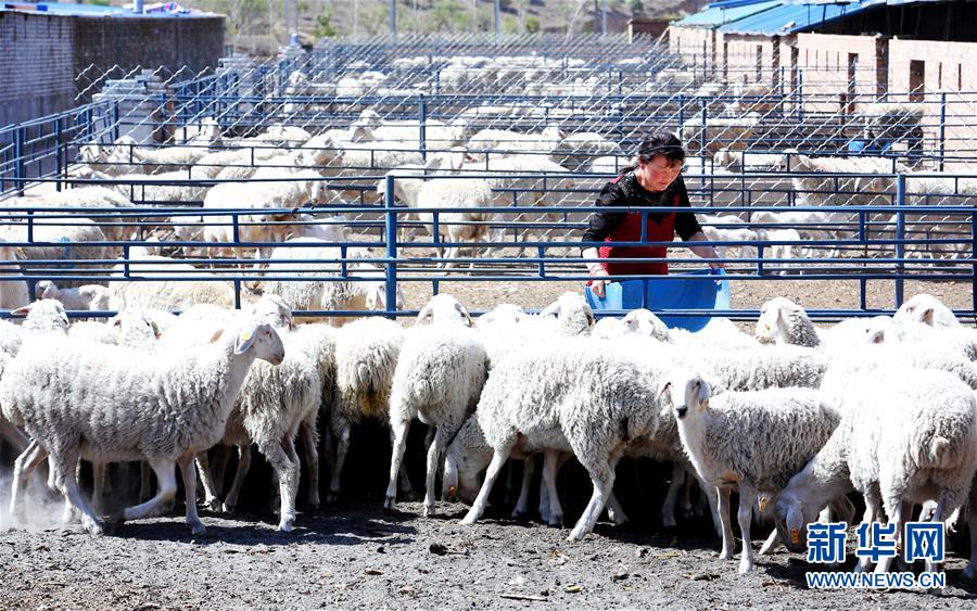 (圖文互動(dòng))(2)柳暗花明又一村——“今日之中國(guó)”系列述評(píng)之三