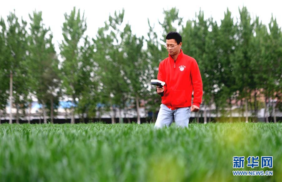 （新華全媒頭條&middot;愛國情 奮斗者&middot;圖文互動）（5）把論文寫在祖國的大地上&mdash;&mdash;中國農(nóng)業(yè)大學(xué)46年扎根河北曲周服務(wù)鄉(xiāng)村振興紀實