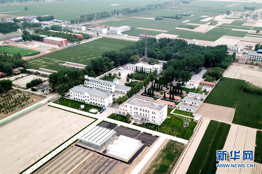 （新華全媒頭條&middot;愛國情 奮斗者&middot;圖文互動）（12）把論文寫在祖國的大地上&mdash;&mdash;中國農(nóng)業(yè)大學(xué)46年扎根河北曲周服務(wù)鄉(xiāng)村振興紀實