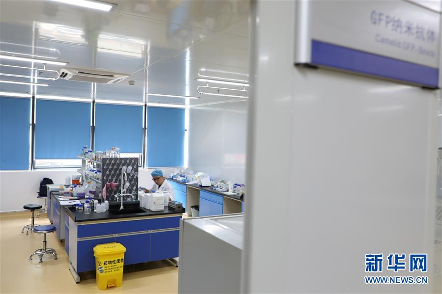 (在習(xí)近平新時代中國特色社會主義思想指引下——新時代新作為新篇章·圖文互動)(6)從種地到“種”高科技產(chǎn)業(yè)——“改革村”的新思維