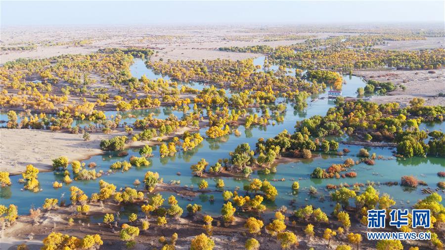 (新華全媒頭條·圖文互動)(4)大河歸來