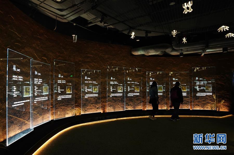 (在習(xí)近平新時代中國特色社會主義思想指引下——新時代新作為新篇章·圖文互動)(4)從世園會“看”中國綠色發(fā)展之路——寫在北京世園會“中國國家館日”到來之際