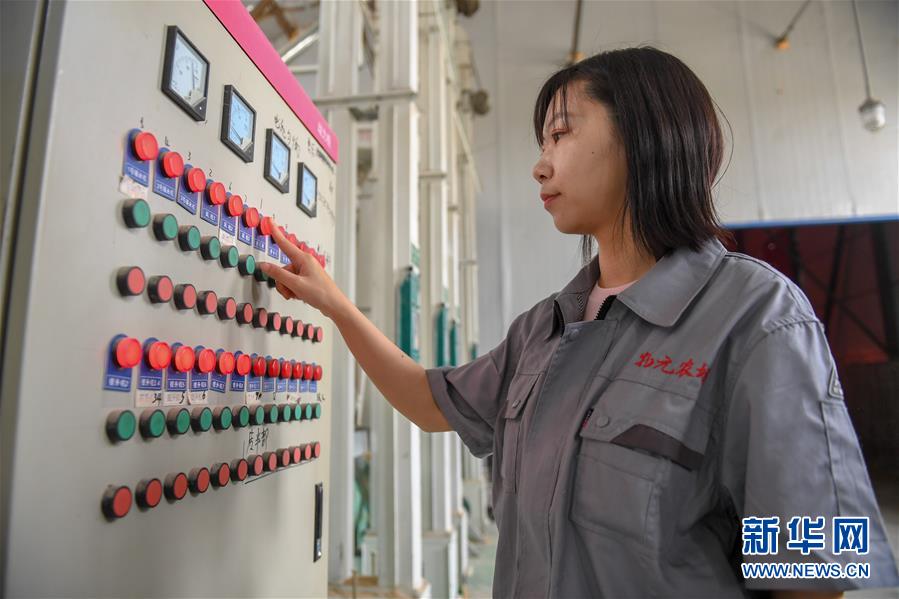 （在習(xí)近平新時(shí)代中國特色社會(huì)主義思想指引下&mdash;&mdash;新時(shí)代新作為新篇章&middot;圖文互動(dòng)）（5）大學(xué)生種田讓農(nóng)民&ldquo;老把式&rdquo;開了眼&mdash;&mdash;吉林長白山下的稻田新事