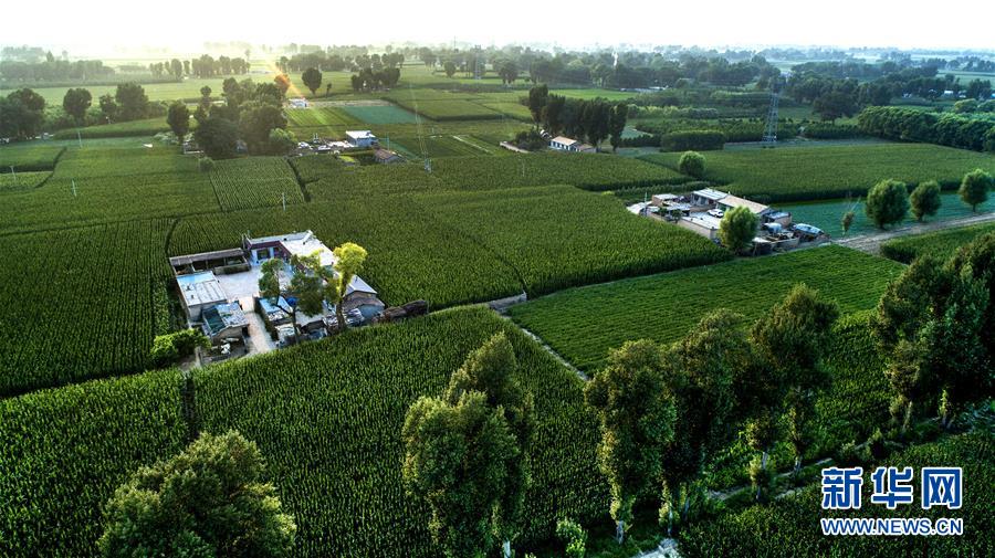 (權(quán)威訪談·聚焦中國(guó)經(jīng)濟(jì)亮點(diǎn)·圖文互動(dòng))(2)防治土地荒漠化 推動(dòng)綠色發(fā)展——專(zhuān)訪國(guó)家林業(yè)和草原局副局長(zhǎng)劉東生