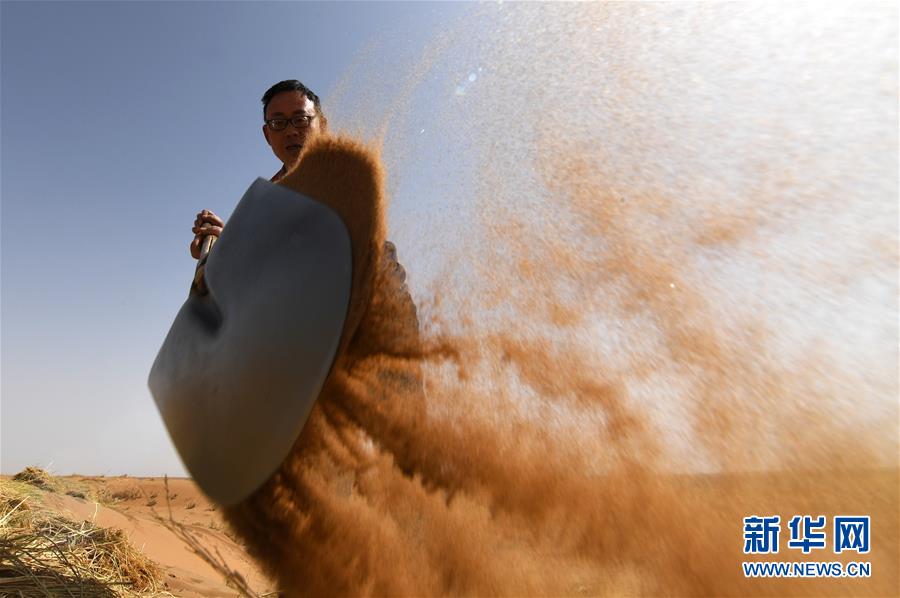 (權(quán)威訪談·聚焦中國(guó)經(jīng)濟(jì)亮點(diǎn)·圖文互動(dòng))(10)防治土地荒漠化 推動(dòng)綠色發(fā)展——專(zhuān)訪國(guó)家林業(yè)和草原局副局長(zhǎng)劉東生