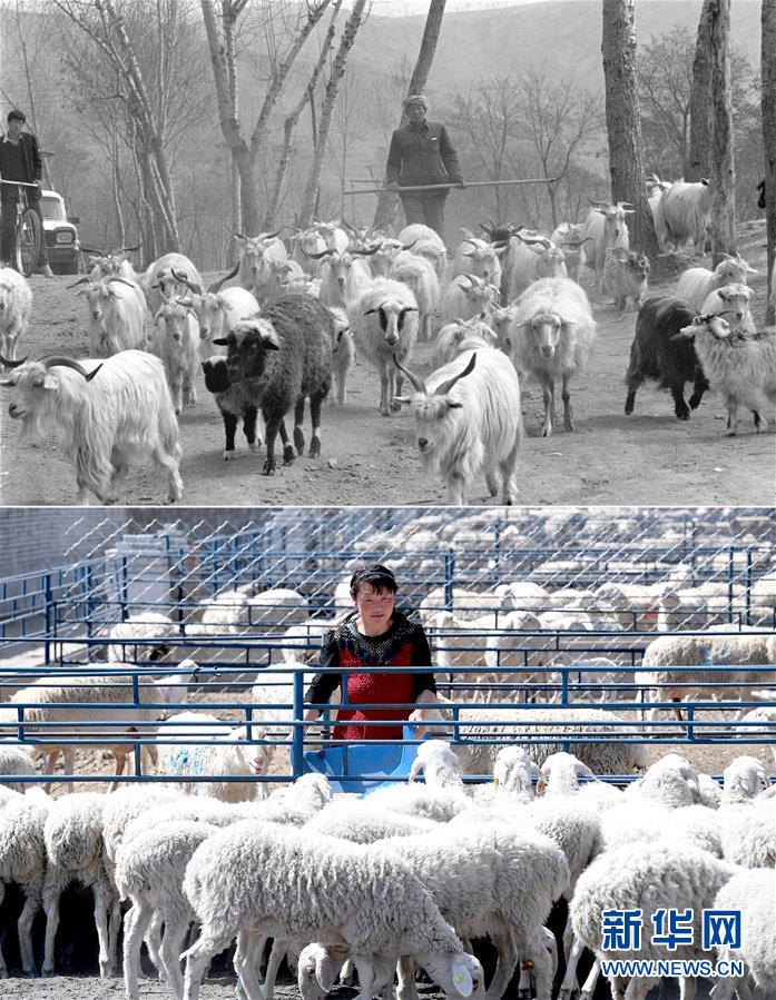 (新華全媒頭條·圖文互動(dòng))(4)不忘初心使命 永立時(shí)代潮頭——寫在中國共產(chǎn)黨成立98周年之際