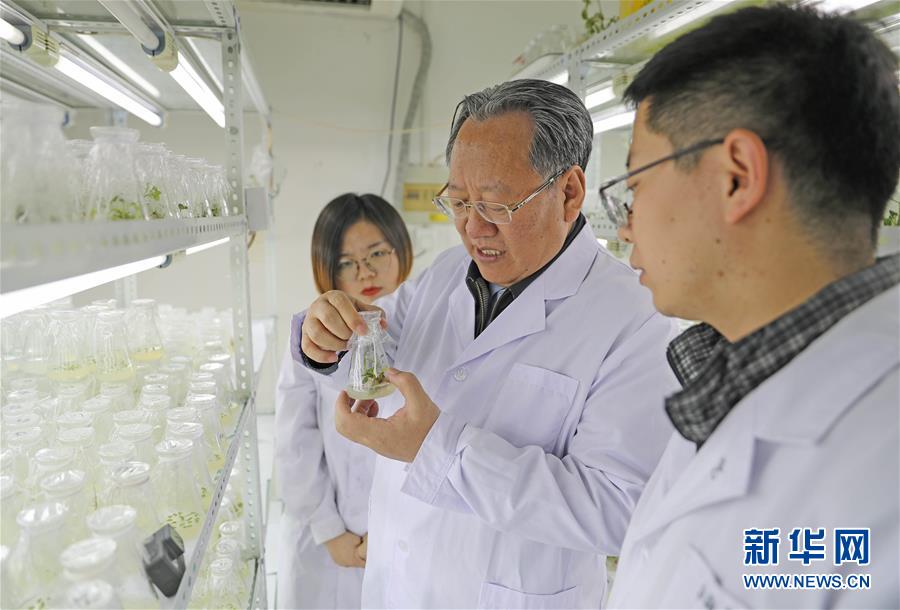 (新華全媒頭條·圖文互動(dòng))(1)和蔬菜“說(shuō)話”的人——中國(guó)工程院院士李天來(lái)的“棚菜人生”