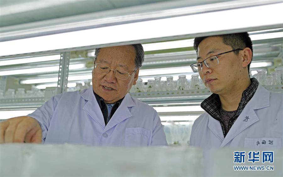 (新華全媒頭條·圖文互動(dòng))(2)和蔬菜“說(shuō)話”的人——中國(guó)工程院院士李天來(lái)的“棚菜人生”