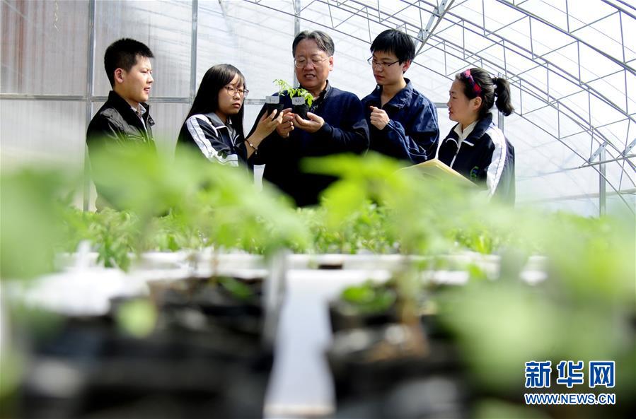 (新華全媒頭條·圖文互動(dòng))(7)和蔬菜“說(shuō)話”的人——中國(guó)工程院院士李天來(lái)的“棚菜人生”