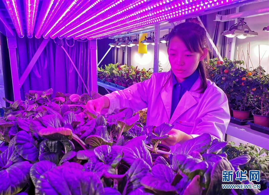 (愛國(guó)情 奮斗者·圖文互動(dòng))(5)池建義團(tuán)隊(duì):把論文寫在產(chǎn)品上