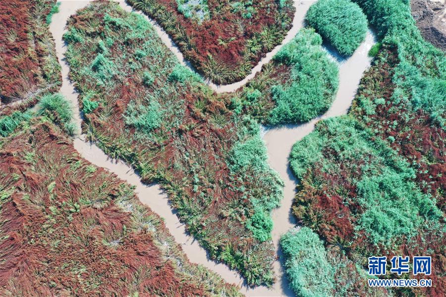 (在習(xí)近平新時(shí)代中國特色社會主義思想指引下——新時(shí)代新作為新篇章·圖文互動)(6)山水之變看交城