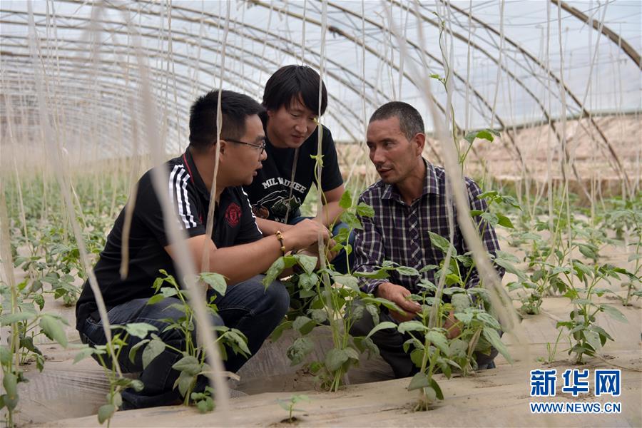 （新華全媒頭條&middot;圖文互動）（10）同心援疆，&ldquo;壯闊&rdquo;祖國西北角