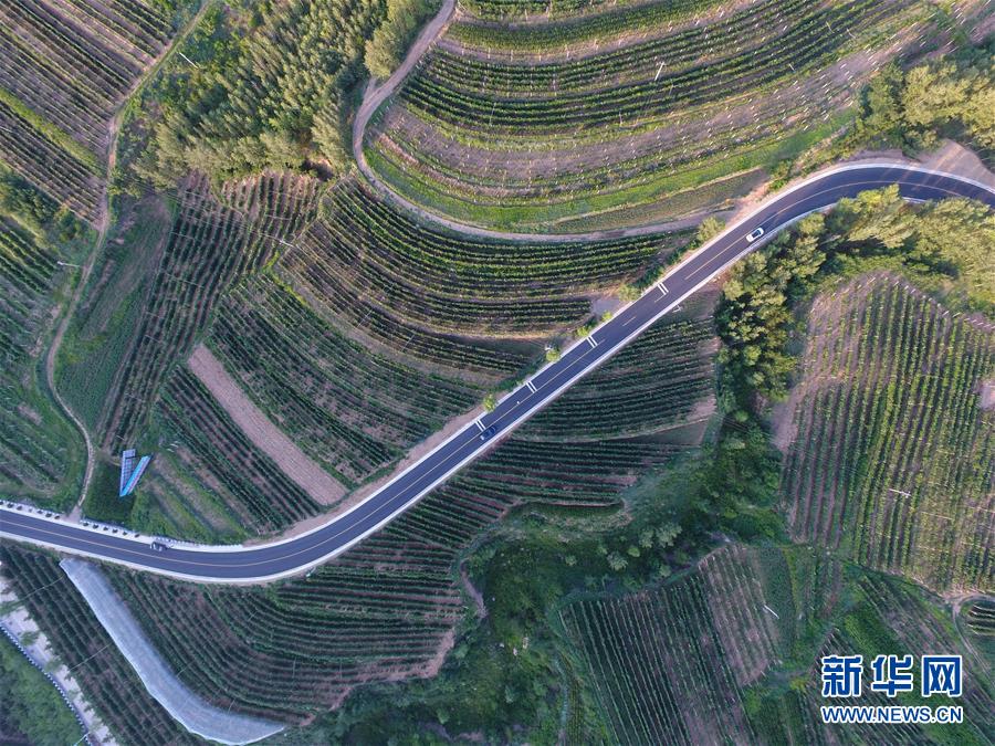 （新華全媒頭條&middot;圖文互動(dòng)）（5）心系北疆　情滿草原&mdash;&mdash;習(xí)近平總書記考察內(nèi)蒙古回訪記