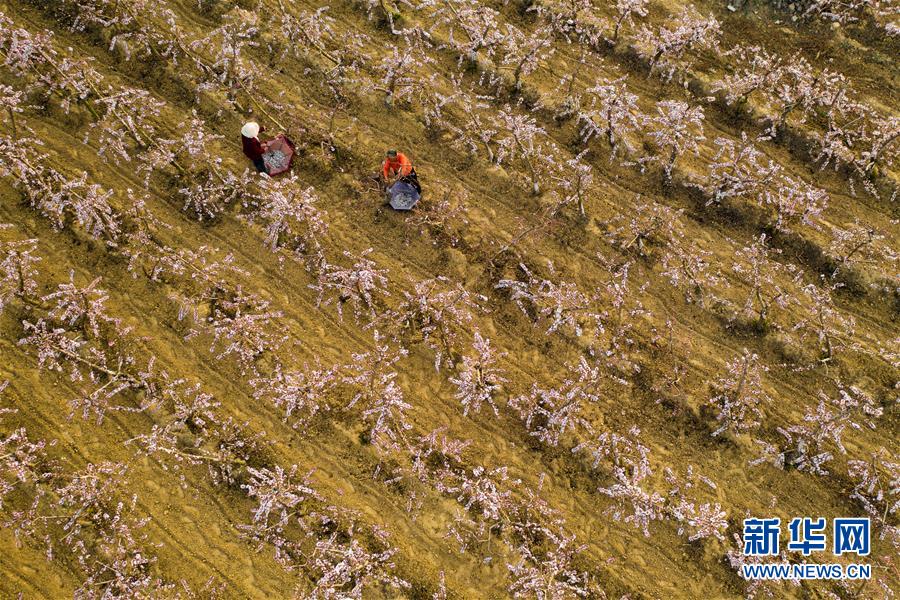 （在習(xí)近平新時(shí)代中國特色社會主義思想指引下&mdash;&mdash;新時(shí)代新作為新篇章&middot;圖文互動(dòng)）（3）中條山下綠意濃&mdash;&mdash;一個(gè)&ldquo;資源窮縣&rdquo;的生態(tài)發(fā)展之路