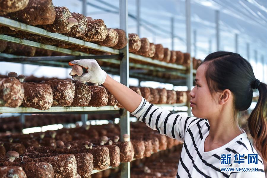 （壯麗70年&middot;奮斗新時(shí)代&mdash;&mdash;共和國發(fā)展成就巡禮&middot;圖文互動(dòng)）（8）多彩貴州闖新路