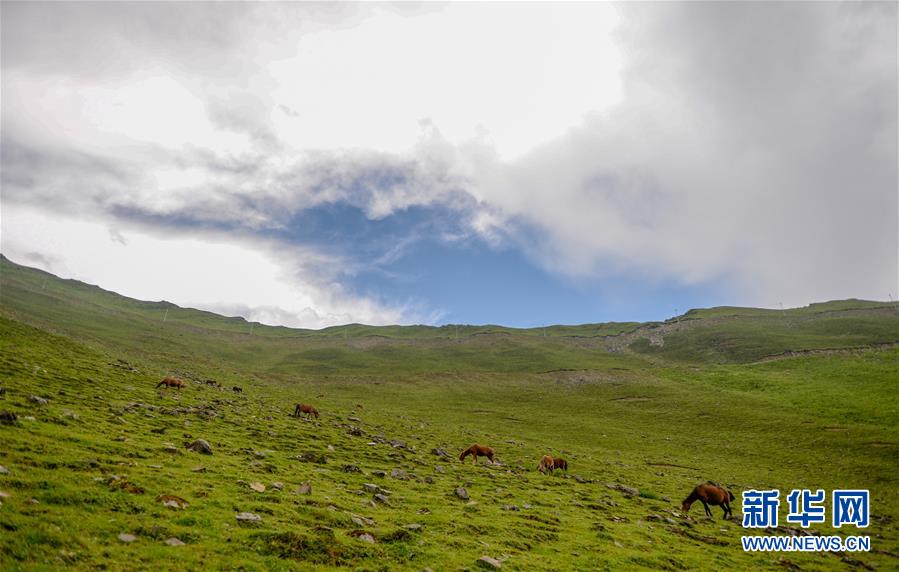 (壯麗70年·奮斗新時(shí)代——記者再走長(zhǎng)征路·圖文互動(dòng))(4)夾金山上“馬燈紅”