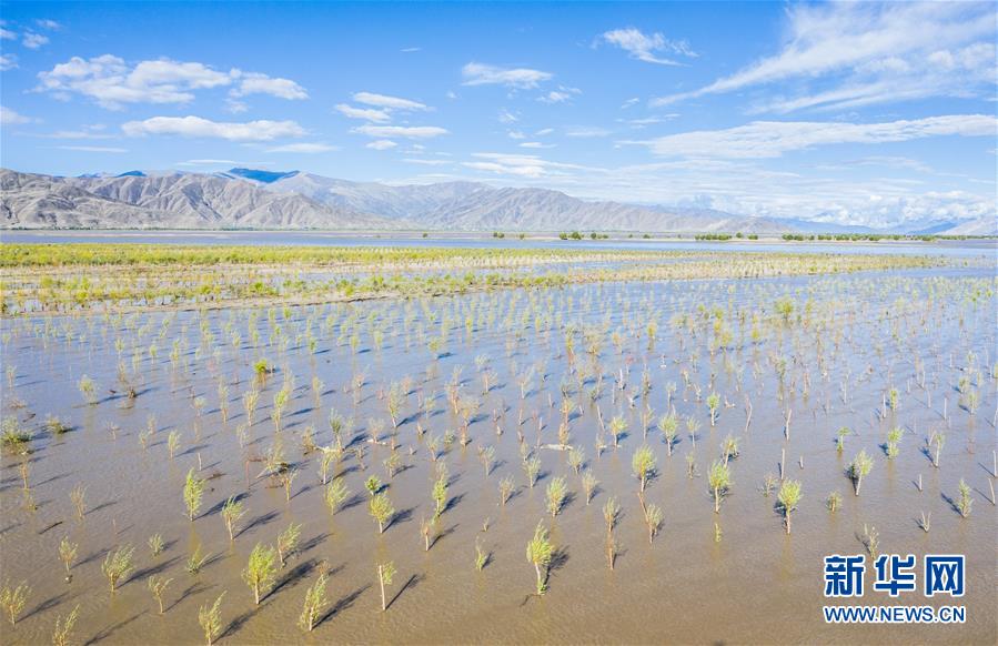 （壯麗70年&middot;奮斗新時(shí)代&mdash;&mdash;共和國發(fā)展成就巡禮&middot;圖文互動）（9）人間奇跡在高原&mdash;&mdash;新中國成立70年西藏發(fā)展成就紀(jì)實(shí)