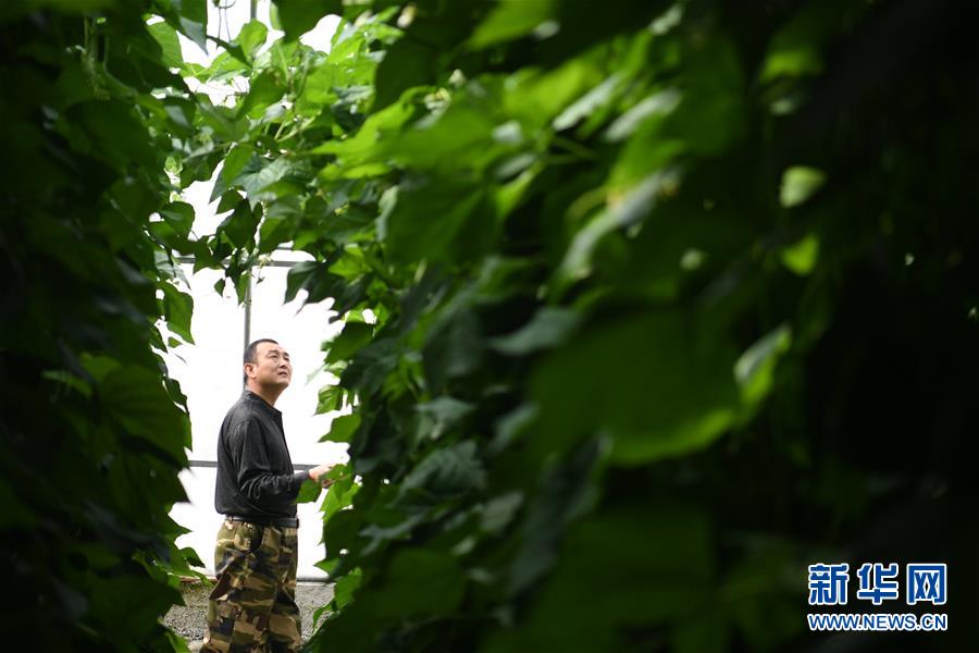 （壯麗70年&middot;奮斗新時(shí)代&mdash;&mdash;共和國發(fā)展成就巡禮&middot;圖文互動(dòng)）（7）以&ldquo;綠色&rdquo;身姿站上發(fā)展前沿&mdash;&mdash;甘肅綠色轉(zhuǎn)型發(fā)展紀(jì)實(shí)