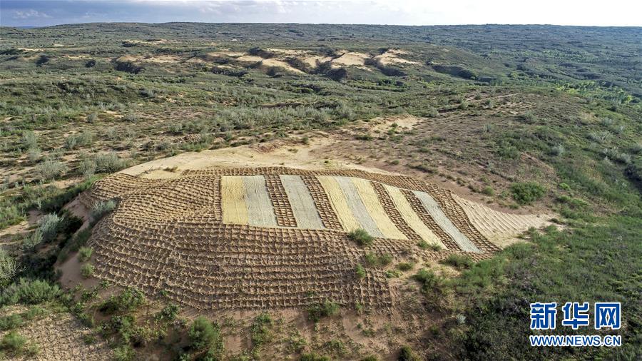（壯麗70年&middot;奮斗新時(shí)代&mdash;&mdash;共和國(guó)發(fā)展成就巡禮&middot;圖文互動(dòng)）（6）生態(tài)美、百姓富&mdash;&mdash;品讀嶄新&ldquo;寧夏畫(huà)卷&rdquo;