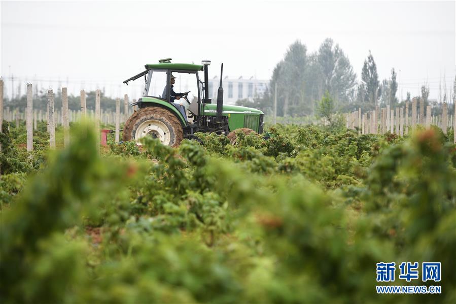 （壯麗70年&middot;奮斗新時(shí)代&mdash;&mdash;共和國(guó)發(fā)展成就巡禮&middot;圖文互動(dòng)）（10）生態(tài)美、百姓富&mdash;&mdash;品讀嶄新&ldquo;寧夏畫(huà)卷&rdquo;