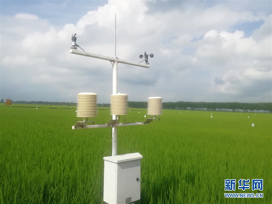 （在習(xí)近平新時(shí)代中國特色社會主義思想指引下&mdash;&mdash;新時(shí)代新作為新篇章&middot;圖文互動）（1）從&ldquo;靠天吃飯&rdquo;到&ldquo;看天管理&rdquo;&mdash;&mdash;黑龍江創(chuàng)新氣象為農(nóng)服務(wù)體系觀察