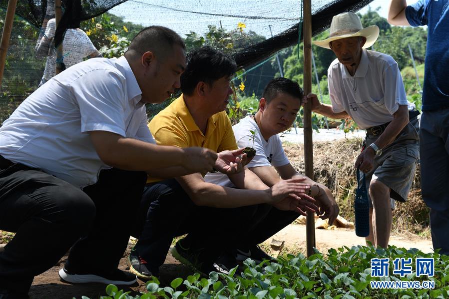 (圖文互動)(3)烏蒙山區(qū)扶貧第一書記背后的“老監(jiān)工”