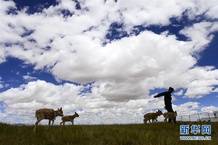 （今日關注&middot;第一屆國家公園論壇&middot;圖文互動）（5）首個國家公園什么樣？專家?guī)阆?ldquo;睹&rdquo;為快