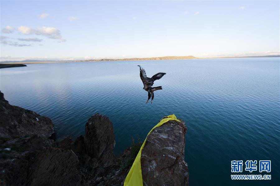（今日關(guān)注&middot;第一屆國(guó)家公園論壇&middot;圖文互動(dòng)）（2）首個(gè)國(guó)家公園什么樣？專家?guī)阆?ldquo;睹&rdquo;為快