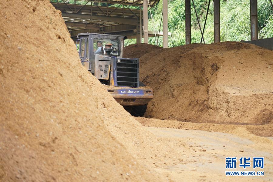 （在習(xí)近平新時(shí)代中國(guó)特色社會(huì)主義思想指引下&mdash;&mdash;新時(shí)代新作為新篇章&middot;總書記關(guān)心的百姓身邊事&middot;圖文互動(dòng)）（4）大污染變身&ldquo;大寶藏&rdquo;：治理畜禽糞污，他們這樣干！