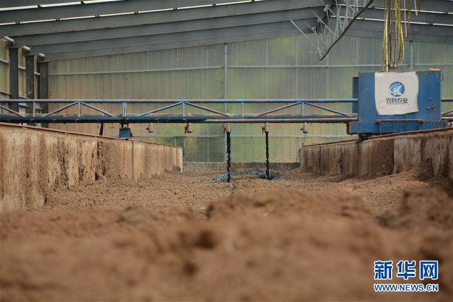 （在習(xí)近平新時(shí)代中國(guó)特色社會(huì)主義思想指引下&mdash;&mdash;新時(shí)代新作為新篇章&middot;總書記關(guān)心的百姓身邊事&middot;圖文互動(dòng)）（5）大污染變身&ldquo;大寶藏&rdquo;：治理畜禽糞污，他們這樣干！