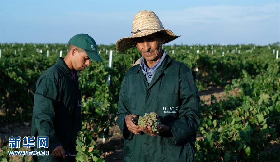 (新華全媒頭條·圖文互動)(9)攜手鑄就非凡夢想——寫在習近平主席提出構(gòu)建更加緊密的中非命運共同體一周年之際