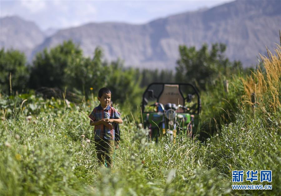 (決戰(zhàn)決勝脫貧攻堅(jiān)·圖文互動(dòng))(5)記者手記:尋訪(fǎng)昆侖“桃花源”的“祛病”良方