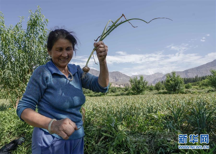 (決戰(zhàn)決勝脫貧攻堅(jiān)·圖文互動(dòng))(1)記者手記:尋訪(fǎng)昆侖“桃花源”的“祛病”良方