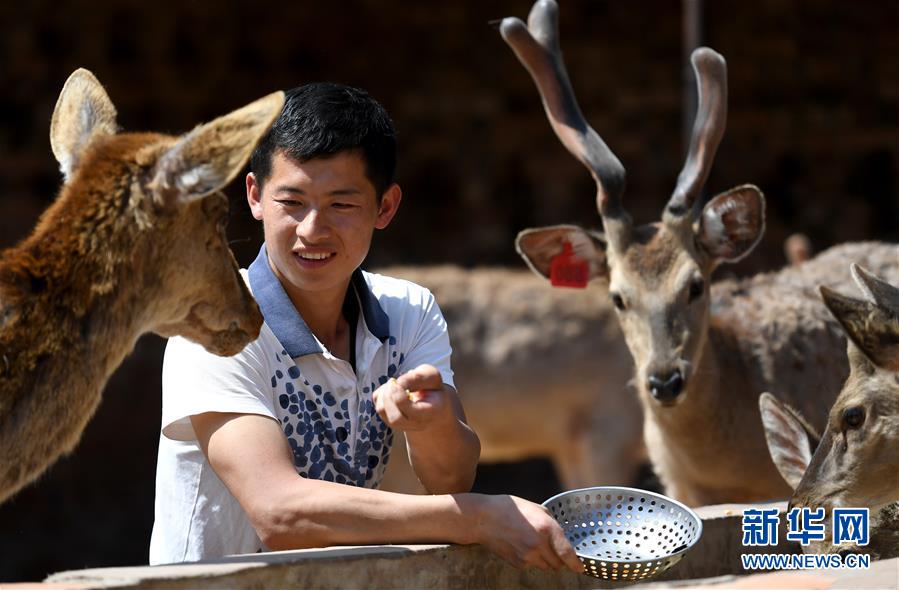 （&ldquo;中國面貌&rdquo;系列述評&middot;圖文互動(dòng)）（3）奇跡中國&mdash;&mdash;70年中國面貌變遷述評之一