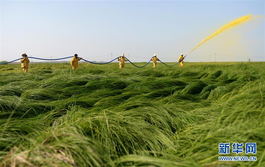 (紅土地“往事新說”·圖文互動)(11)昔日送“瘟神” 今朝健康促小康