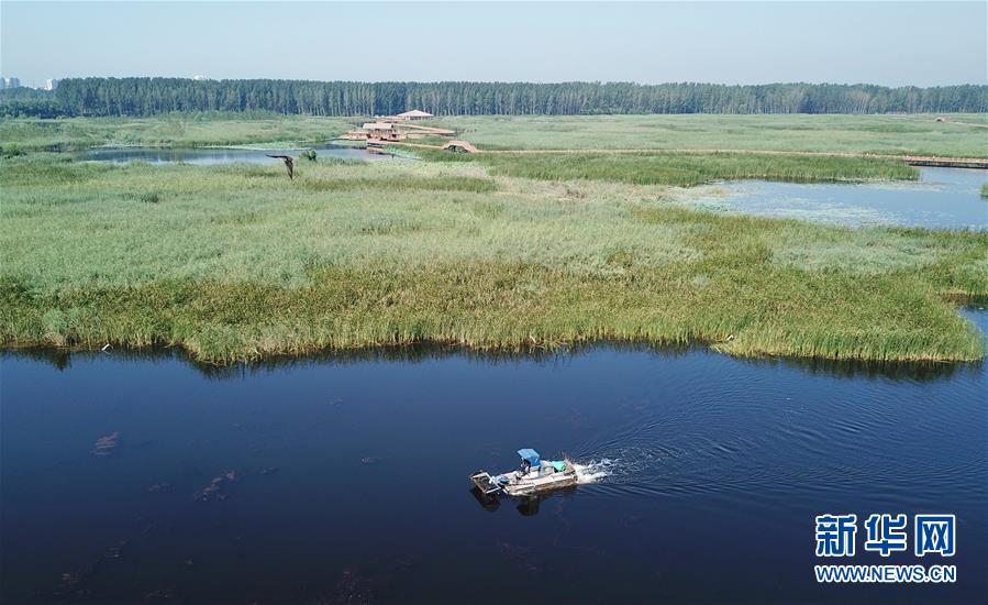 (壯麗70年·奮斗新時代·重溫囑托看變化·圖文互動)(4)雄安新區(qū):錨定高質量發(fā)展 奮力書寫新時代答卷