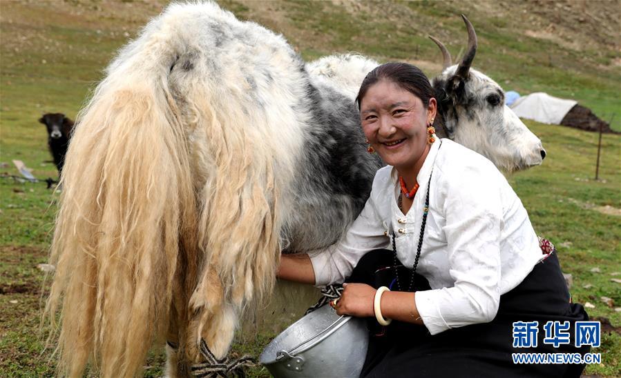 （決戰(zhàn)決勝脫貧攻堅(jiān)&middot;圖文互動(dòng)）（9）以保護(hù)促脫貧　以脫貧助保護(hù)&mdash;&mdash;長江源頭第一縣的生態(tài)發(fā)展選擇