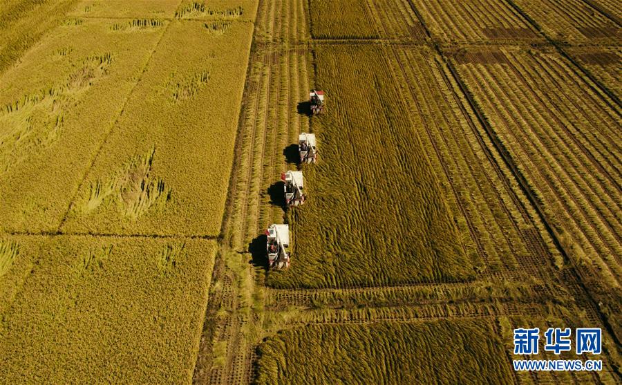 （新華全媒頭條&middot;圖文互動(dòng)）（5）紅色的傳承，藍(lán)圖的起點(diǎn)&mdash;&mdash;新中國(guó)孕育與發(fā)展的&ldquo;東北記憶&rdquo;
