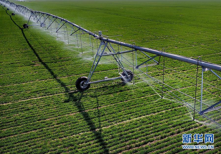 （新華全媒頭條&middot;圖文互動）（4）大國糧倉的新時代交響&mdash;&mdash;河南農(nóng)業(yè)70年觀察