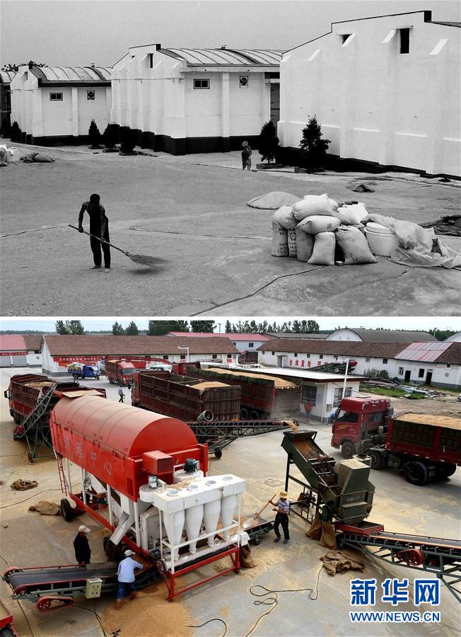 （新華全媒頭條&middot;圖文互動）（9）大國糧倉的新時代交響&mdash;&mdash;河南農(nóng)業(yè)70年觀察