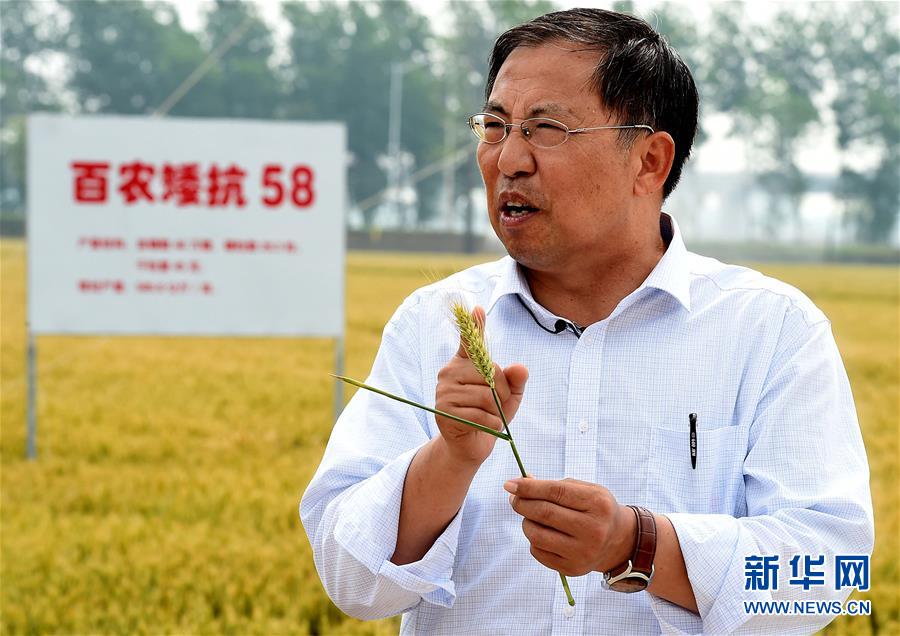 （新華全媒頭條&middot;圖文互動）（15）大國糧倉的新時代交響&mdash;&mdash;河南農業(yè)70年觀察