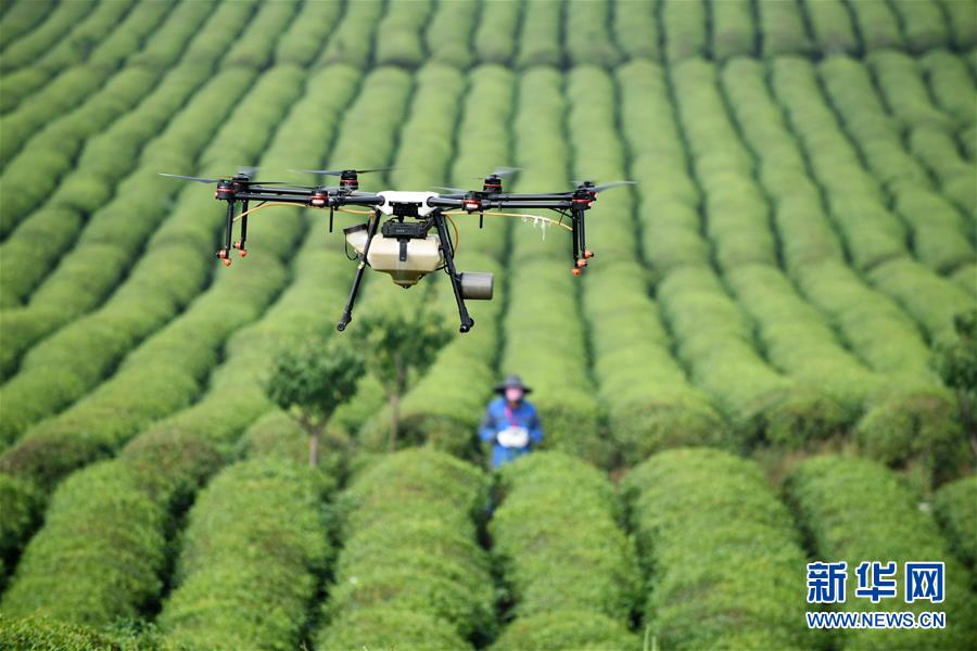 (全面深化改革·圖文互動(dòng))(6)“減”出效益 “融”出特色 “服”出動(dòng)力——貴州推進(jìn)農(nóng)村產(chǎn)業(yè)結(jié)構(gòu)調(diào)整觀察